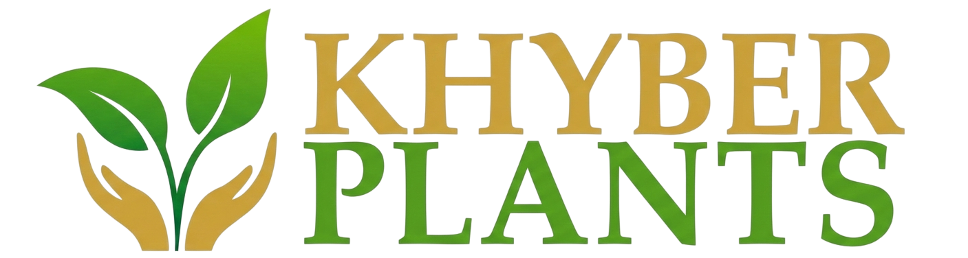Khyber Plants