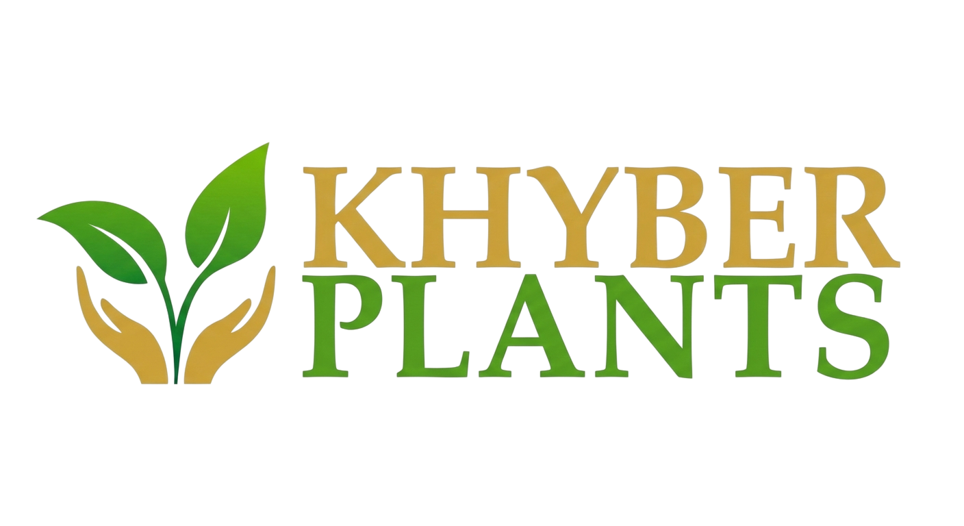 Khyber Plants Pvt Ltd