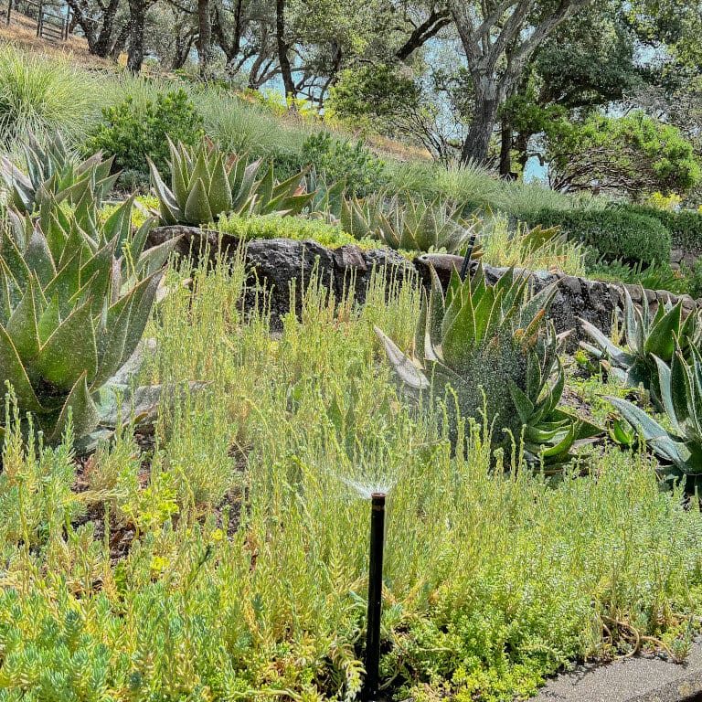 landscape-maintenance-near-me